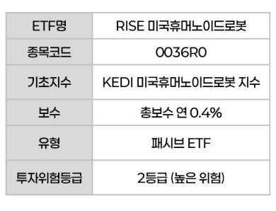 RISE 미국휴머노이드로봇
